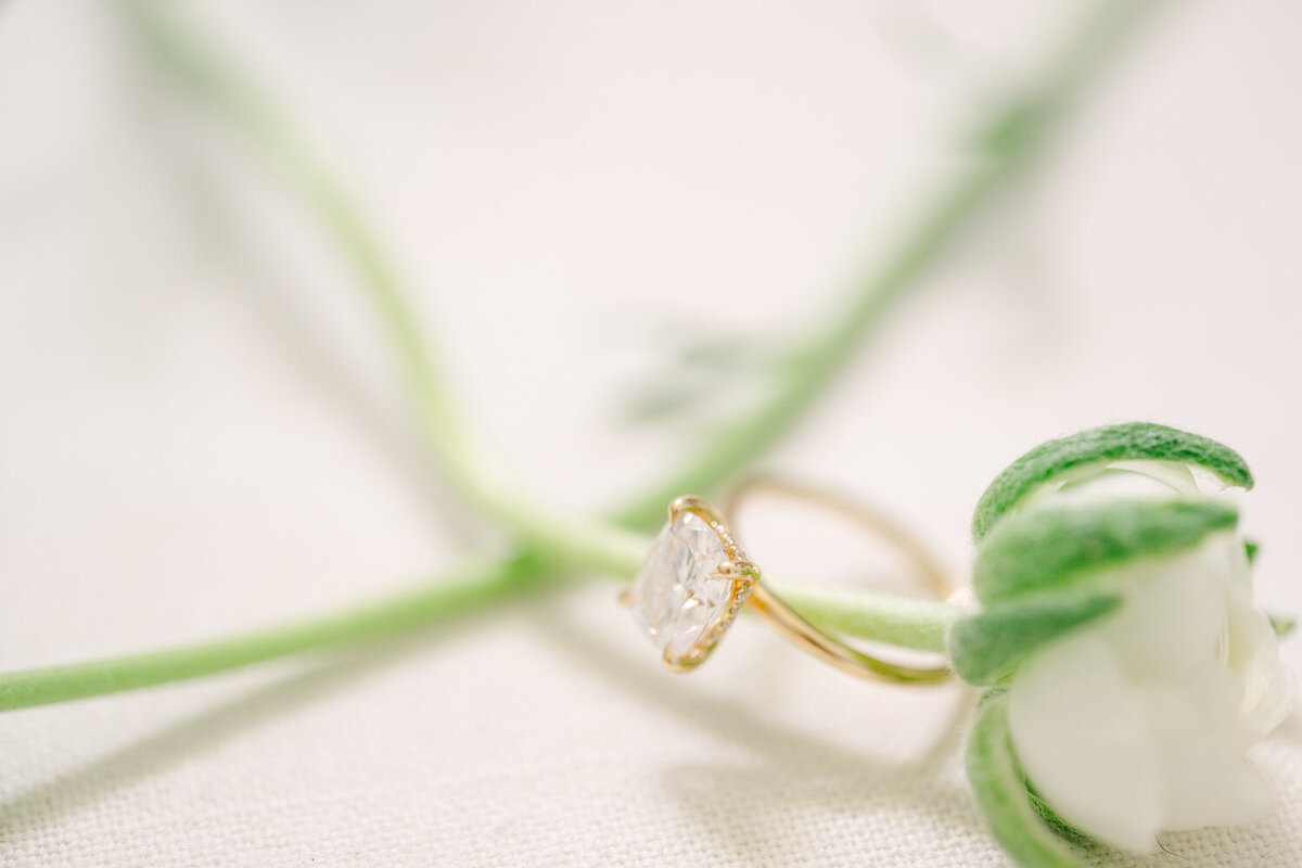 Sharelle-Knight-Photography-Alex-and-Alana-Gold-Coast-Wedding-24