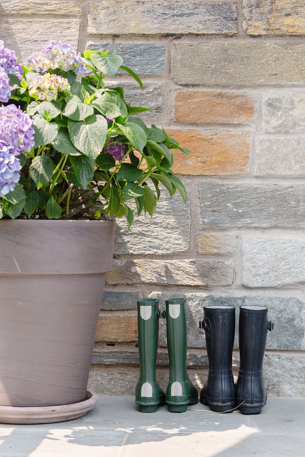 Lanier Landscapes DMV Landscape Designer 6