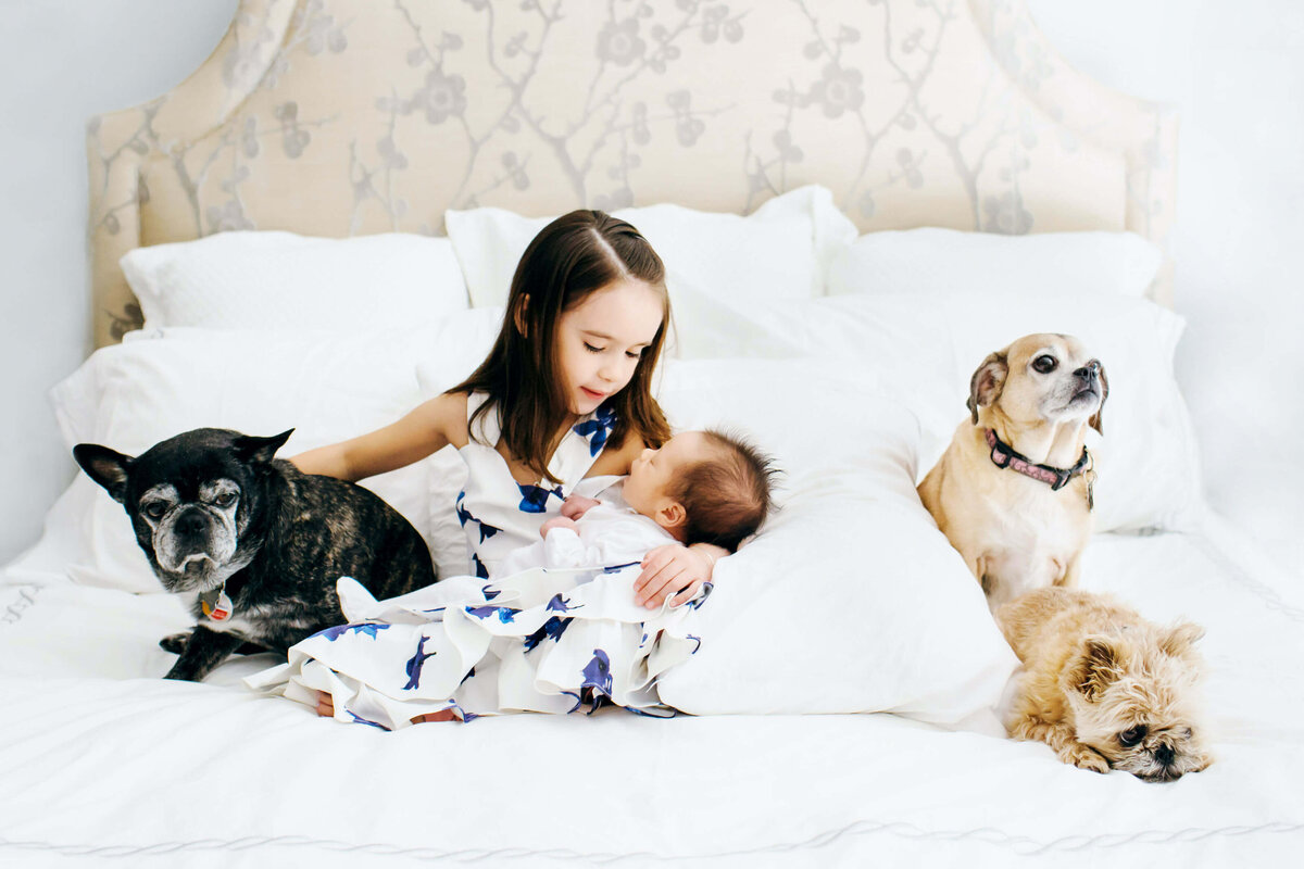 Boston Newborn Photographer with dogs
