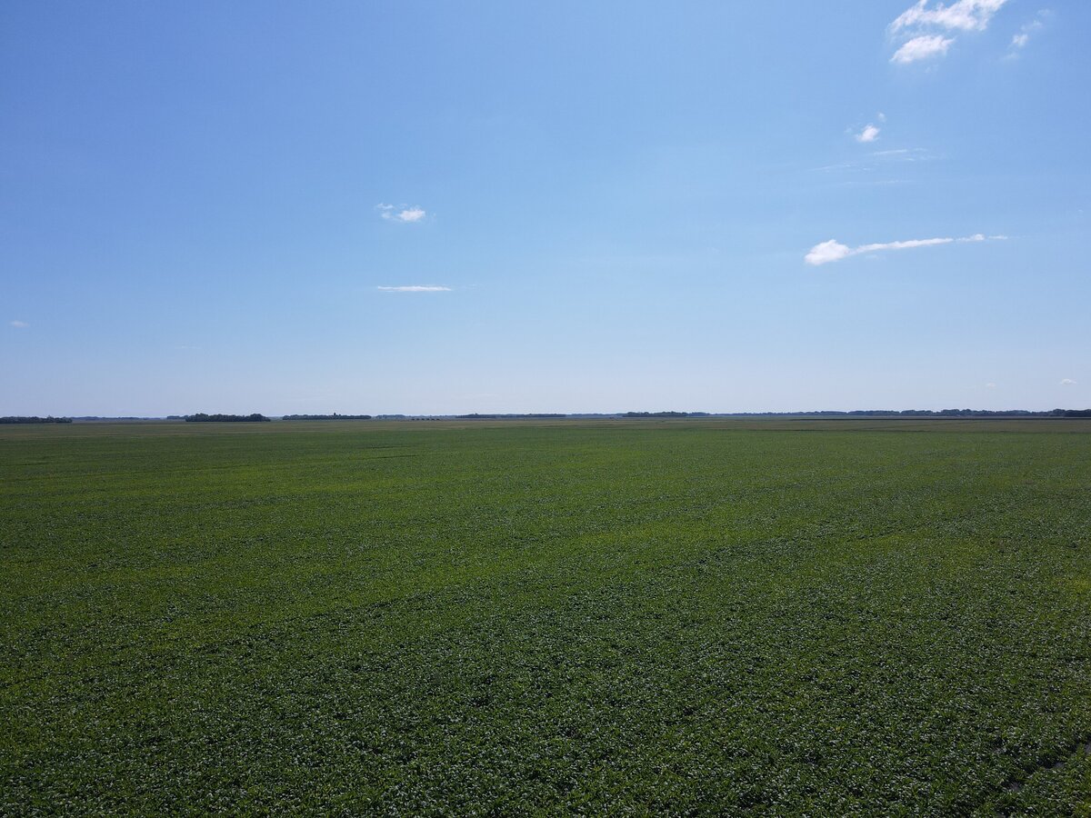 DJI_0883