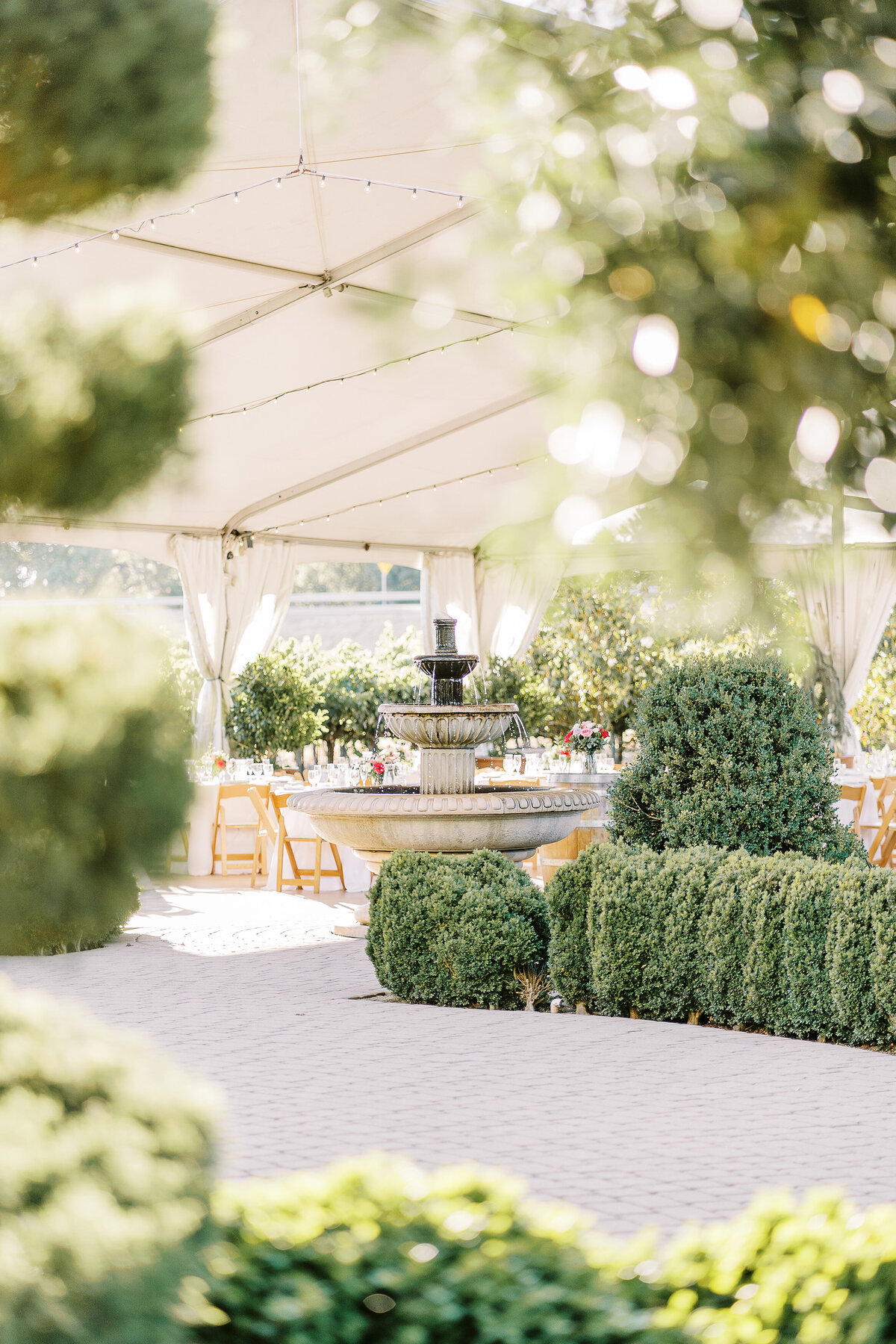 scribner-bend-vineyards-sacramento-wedding-031