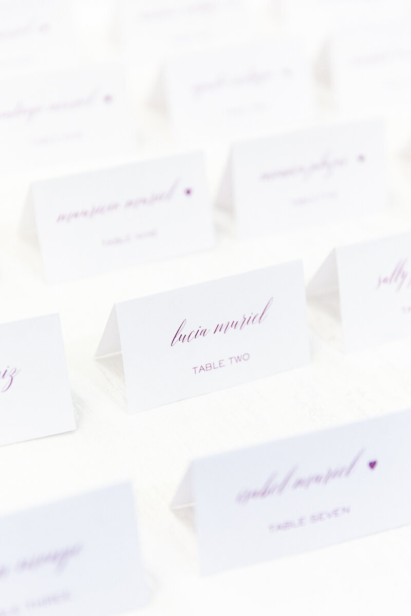 Raquel and Marc Omni Championsgate wedding  | Orlando Wedding Photographer | Images by Amalie Orrange Photography-29