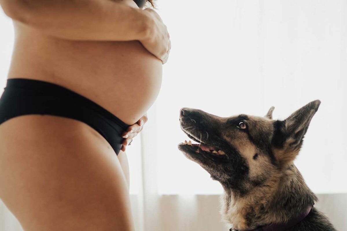 Best Jacksonville Maternity Photography - Pregnant photo with dog