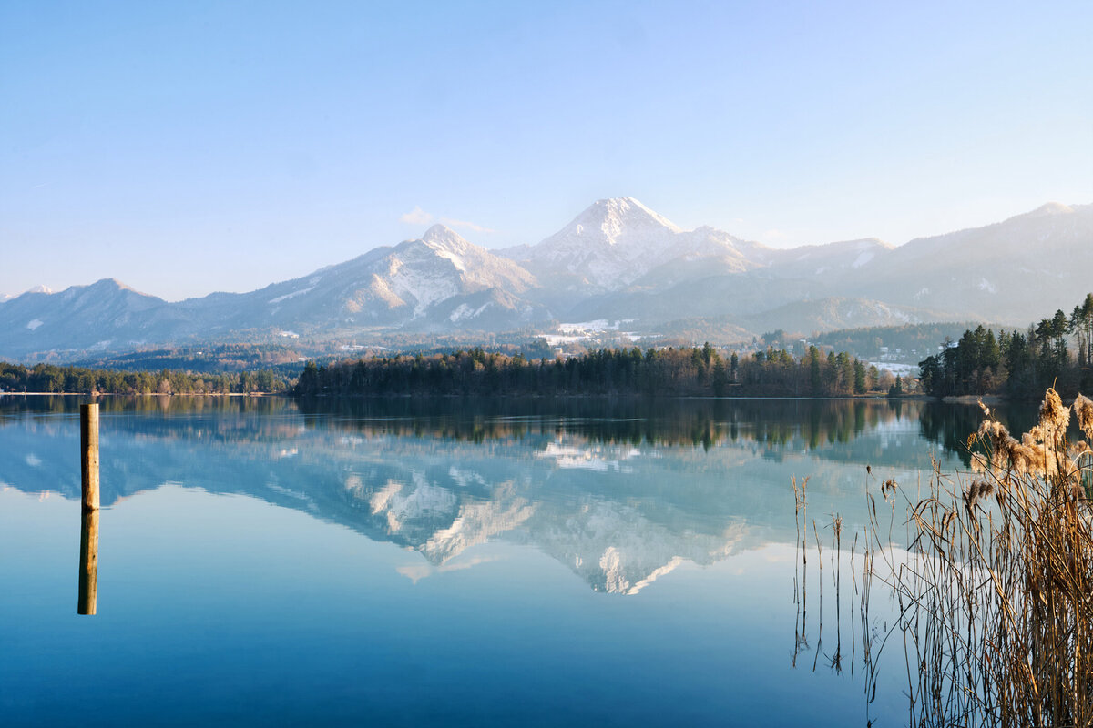 Winterlicher Morgen am Faaker See in Kärnten mit klarer Bergspiegelung und vereisten Uferpflanzen – ruhige Naturaufnahme für Tourismus und regionale Bildwelten