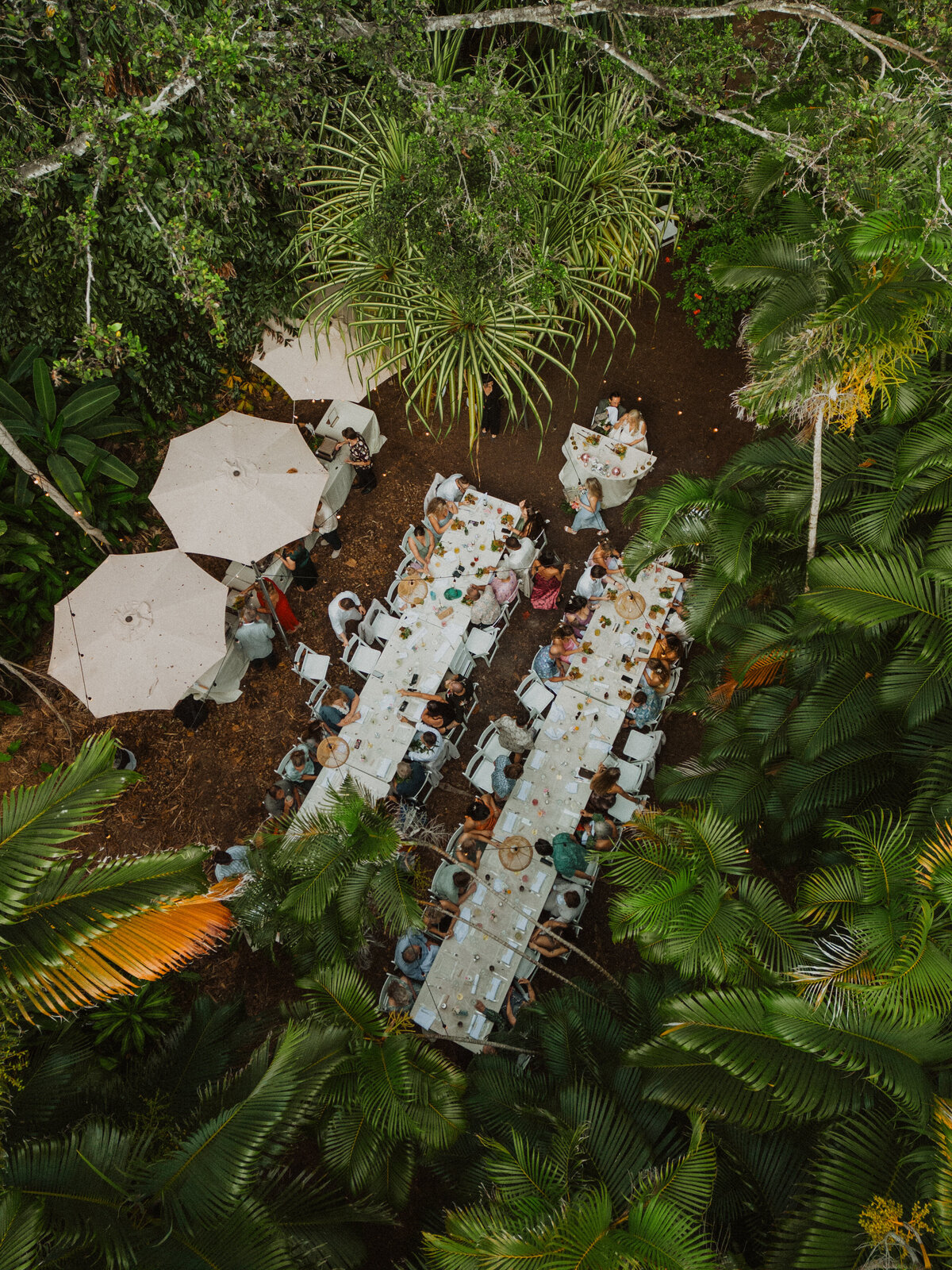 DJI_0659
