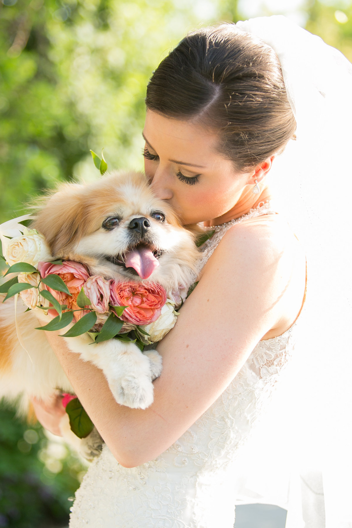Bride with her dog on her wedding day