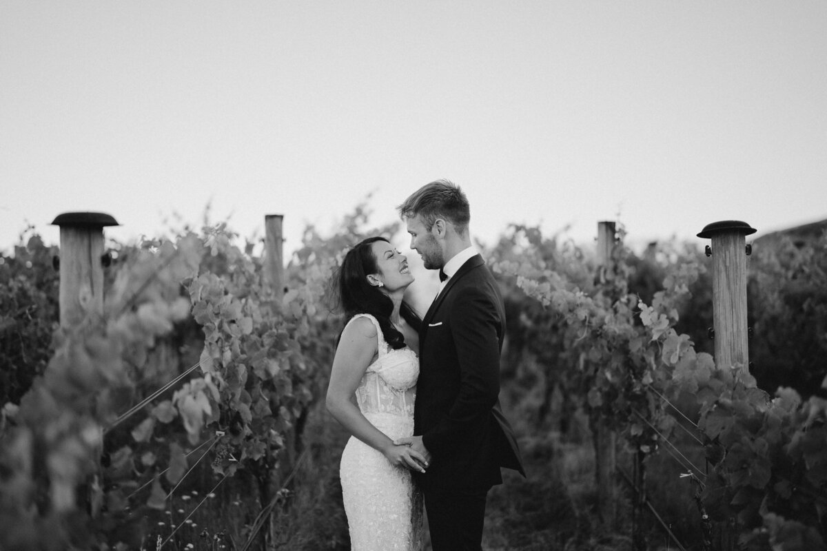 The-Caseys-Rippon-Wanaka-563