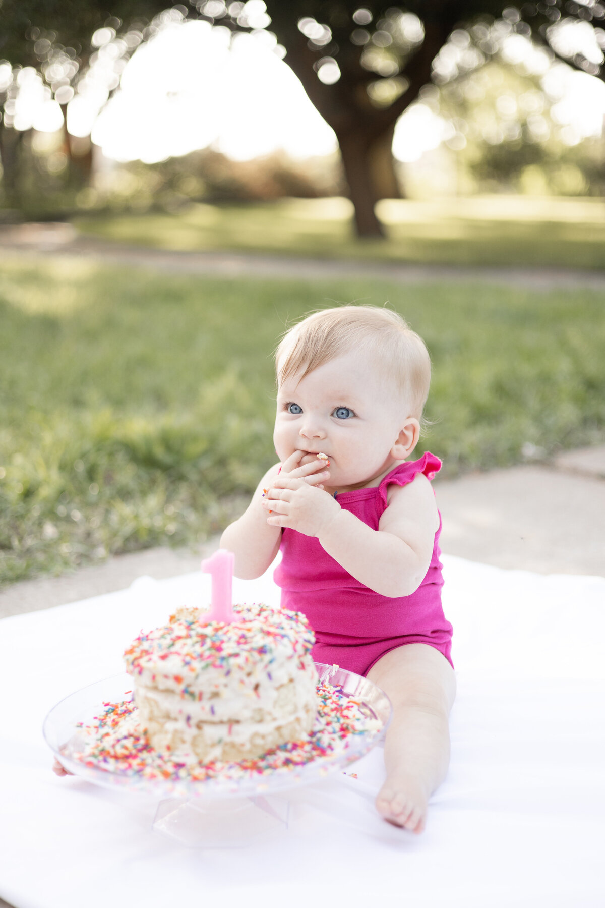Cake Smash Photographer Lubbock-12