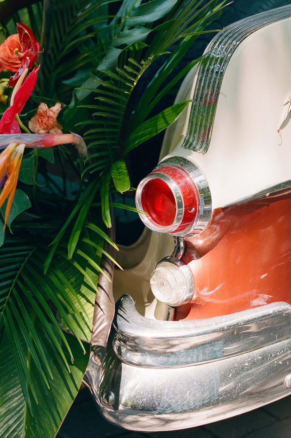 The taillight and some foliage.