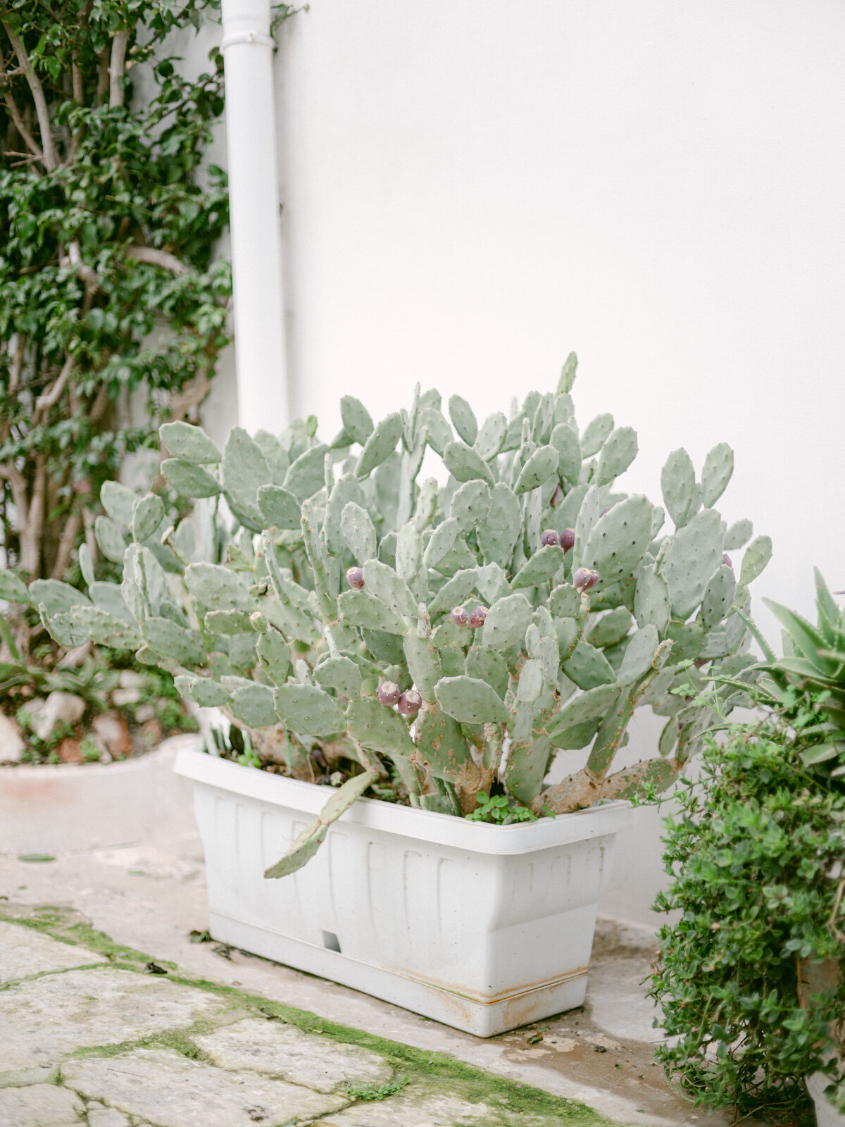 Ostuni Puglia Engagement Session39