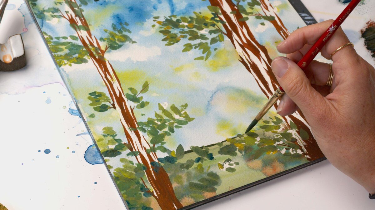 paex-2022-05-forest-3-colors