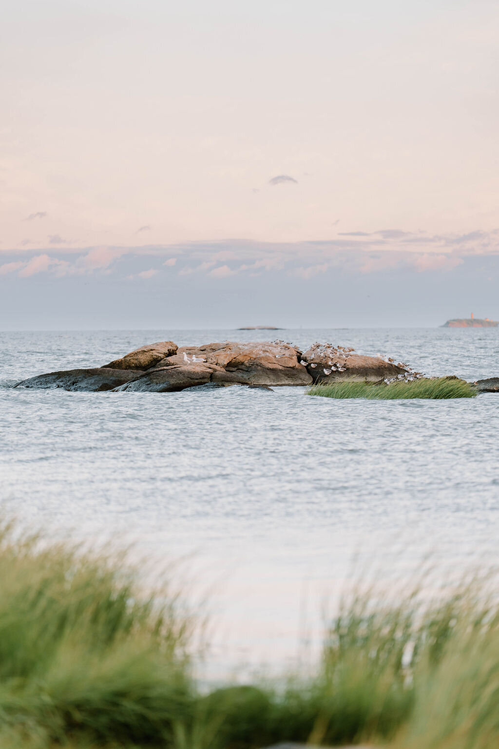 Wedding Photographer RI | Calm seascape with rocks and birds at sunset. Soft pink sky reflects on gentle waves. Green grass in foreground