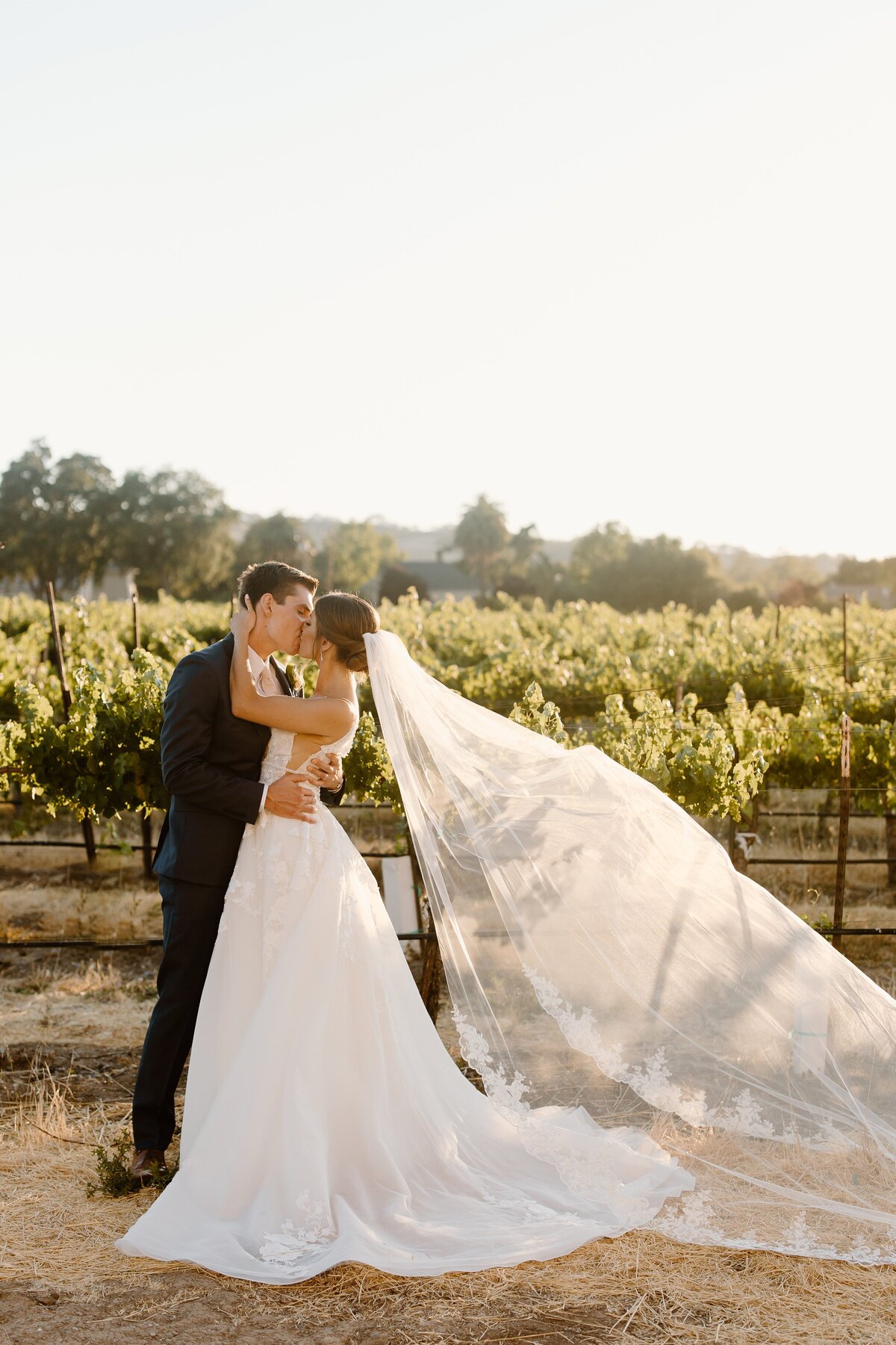 Michelle-Zach_Casa-Real-Wedding_Hannah-Berglund-Photography-711