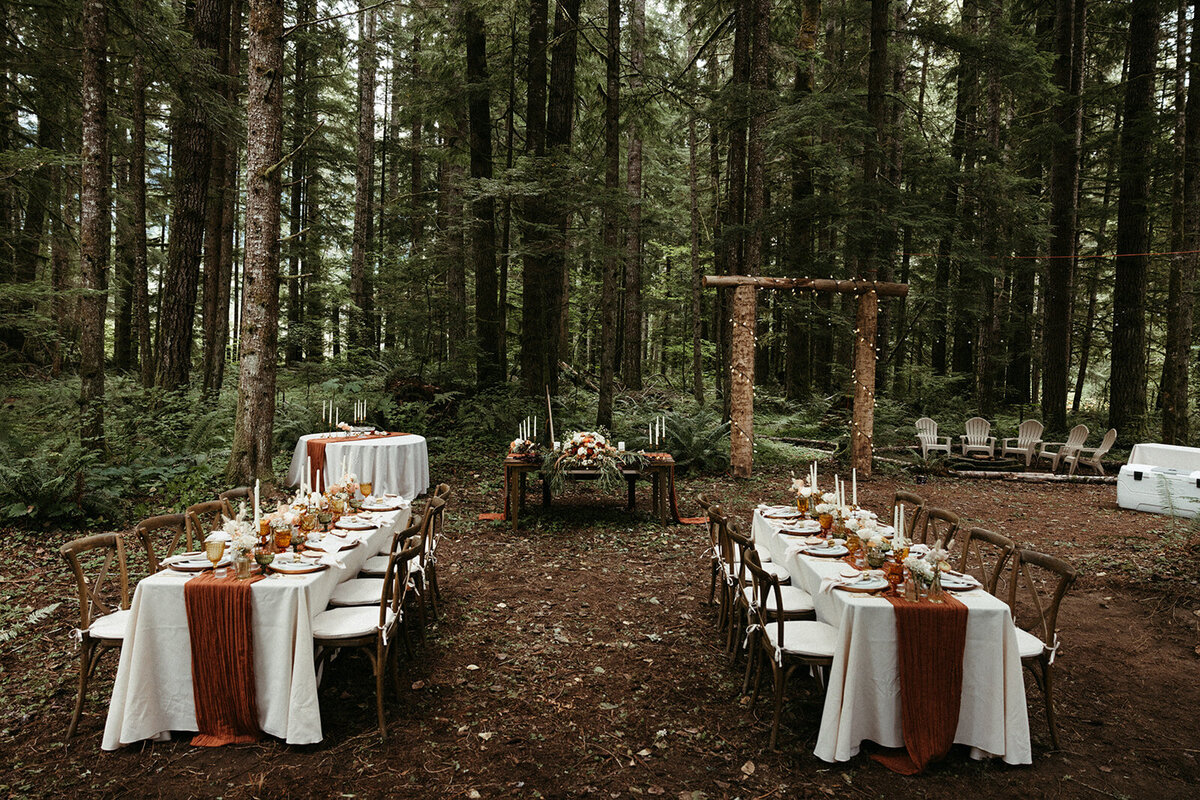 MtRainierSmallWedding-DallinHazard-287