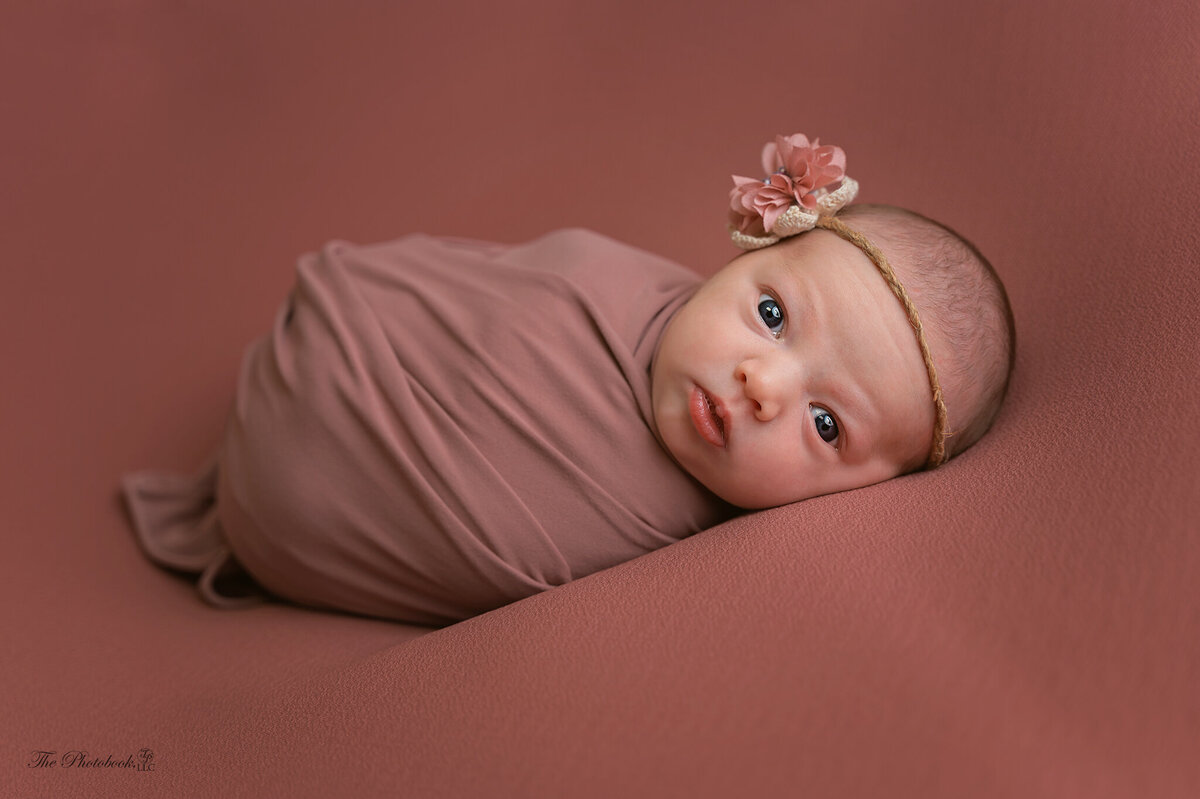 TP6_3953-The Photobook-newborn-Photographer- Michigan Photograpgher-Child photographer-newborn photographer