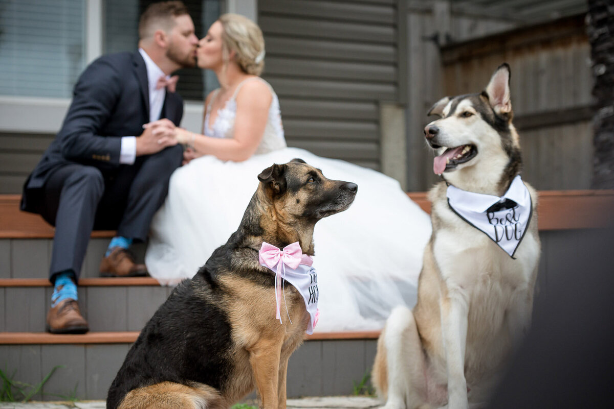 190810_3209-Red-Deer-Wedding-Photographer-Amy_Cheng_Photography