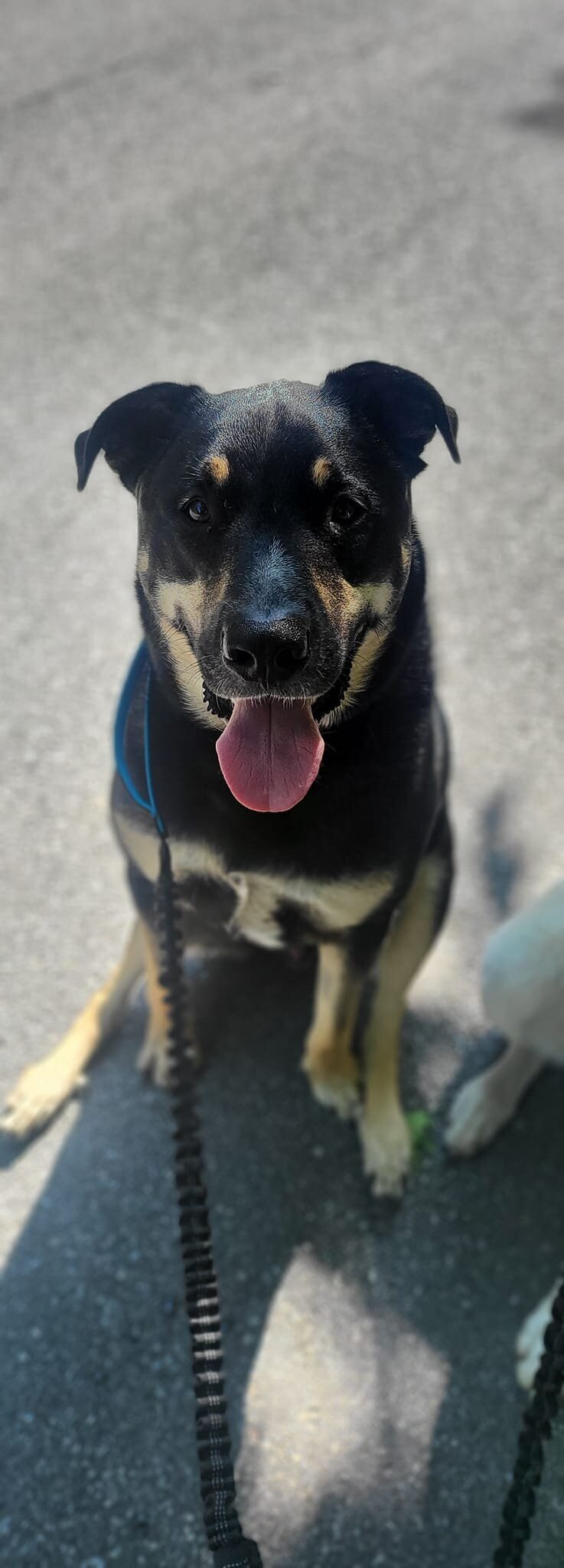 remi