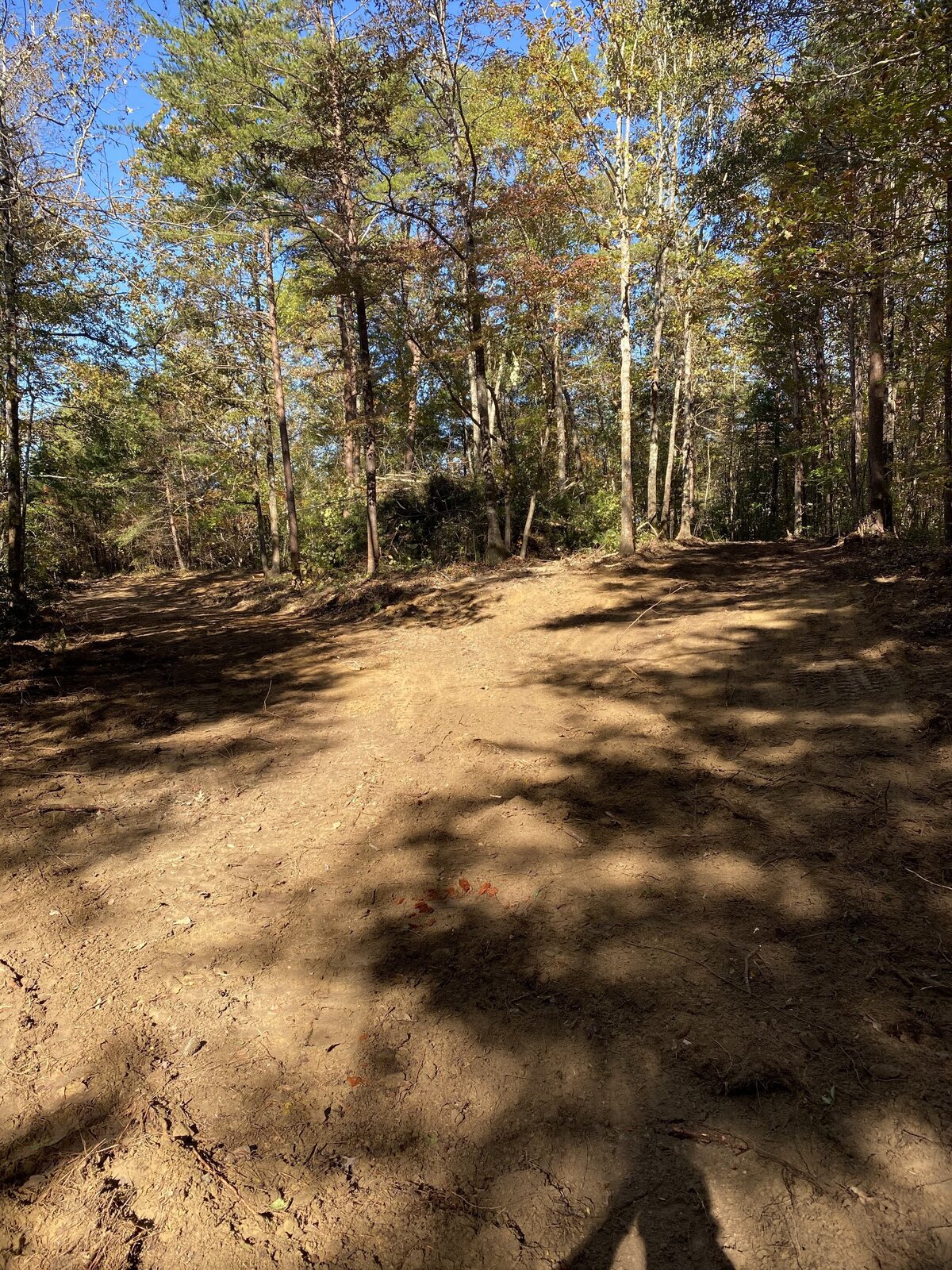 clear-dirt-path-in-the-woods
