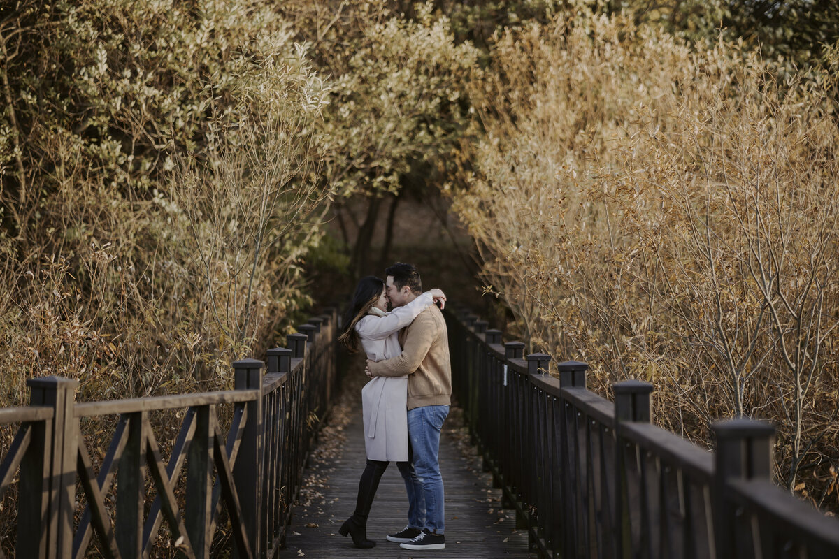 the groom kissing the bride's forehead in the bridge of damyang eco park surrounding with autumn leaves