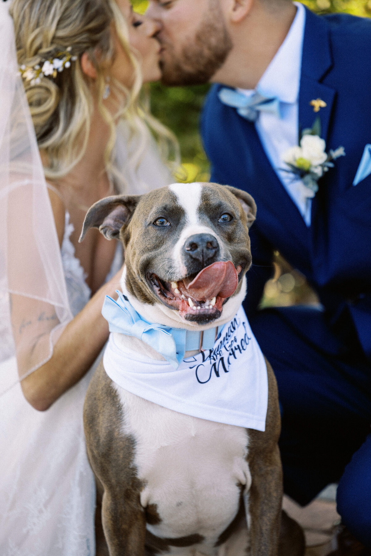 AbbieHolmesEstate_CapeMayWeddingPhotographer_TaylorNicollePhoto-56