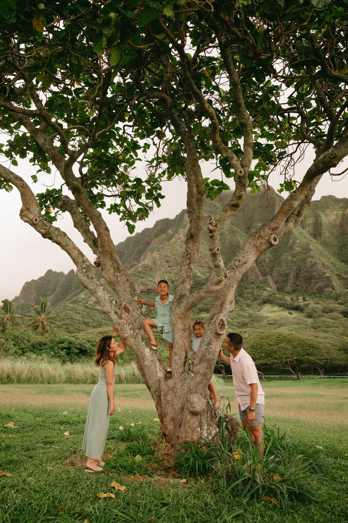 Nguyen Family-100