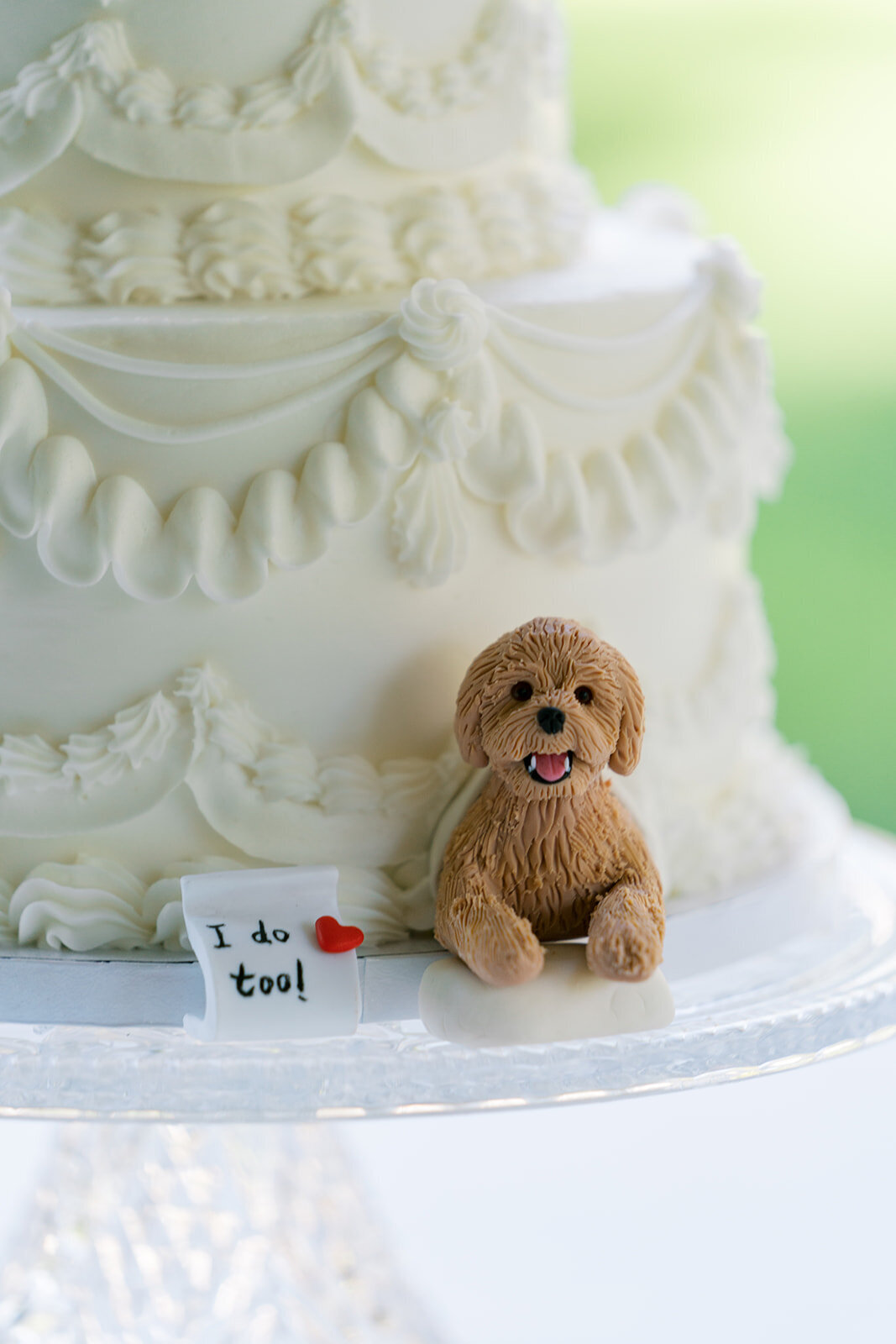 The Cypress House Wedding-08348