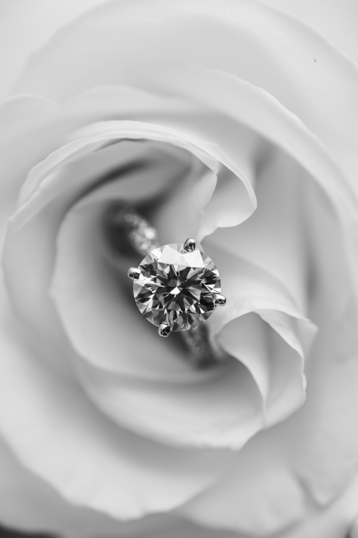 the-briarcliff-manor-ny-wedding-nj-photographer-suess-moments-9 (25) - Copy