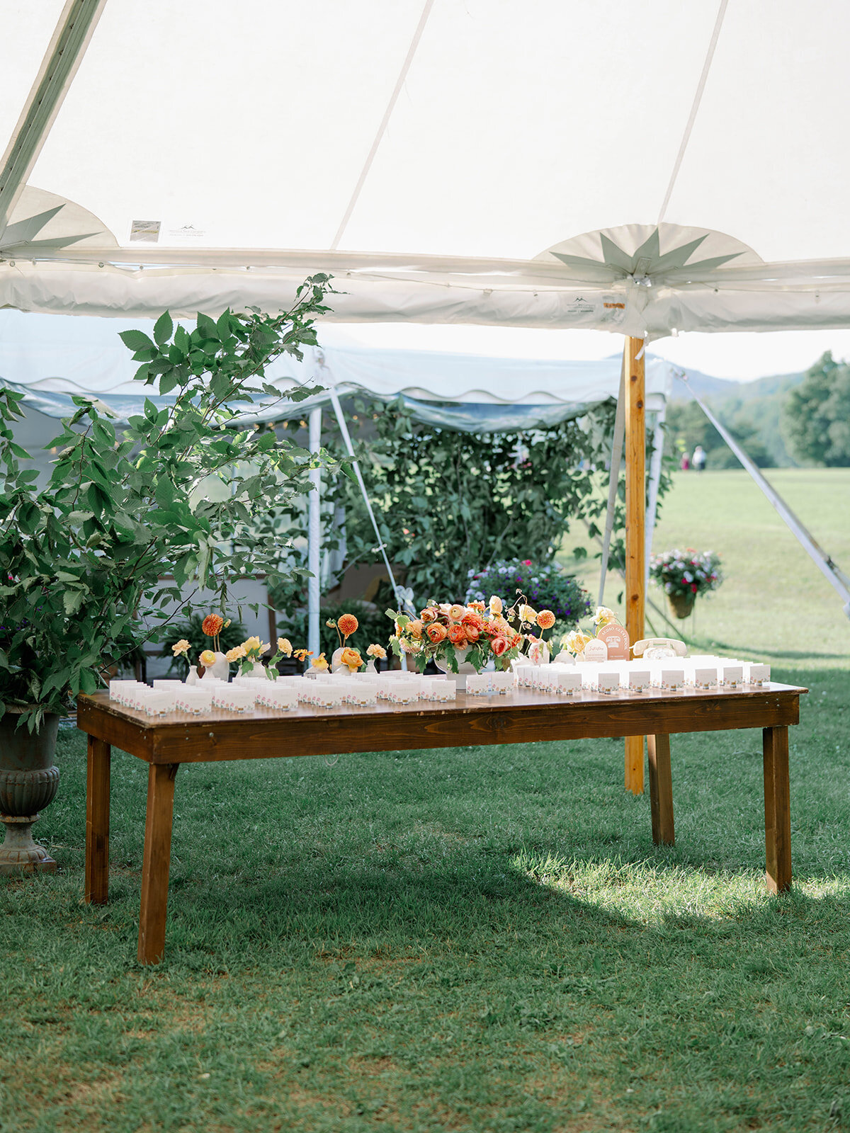 Monika & Calum-Liz Andolina Photography-980