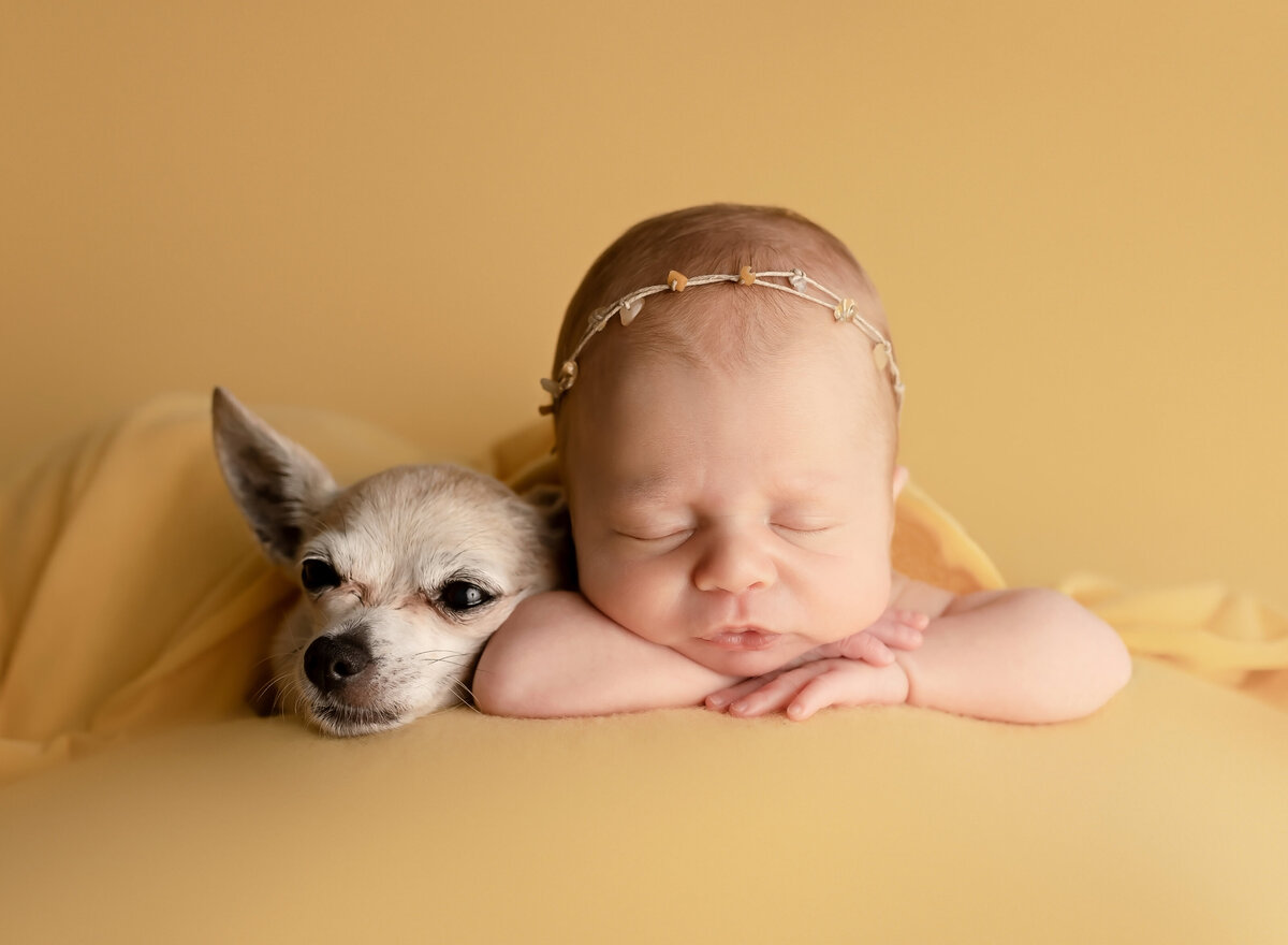 montana newborn photographer 2