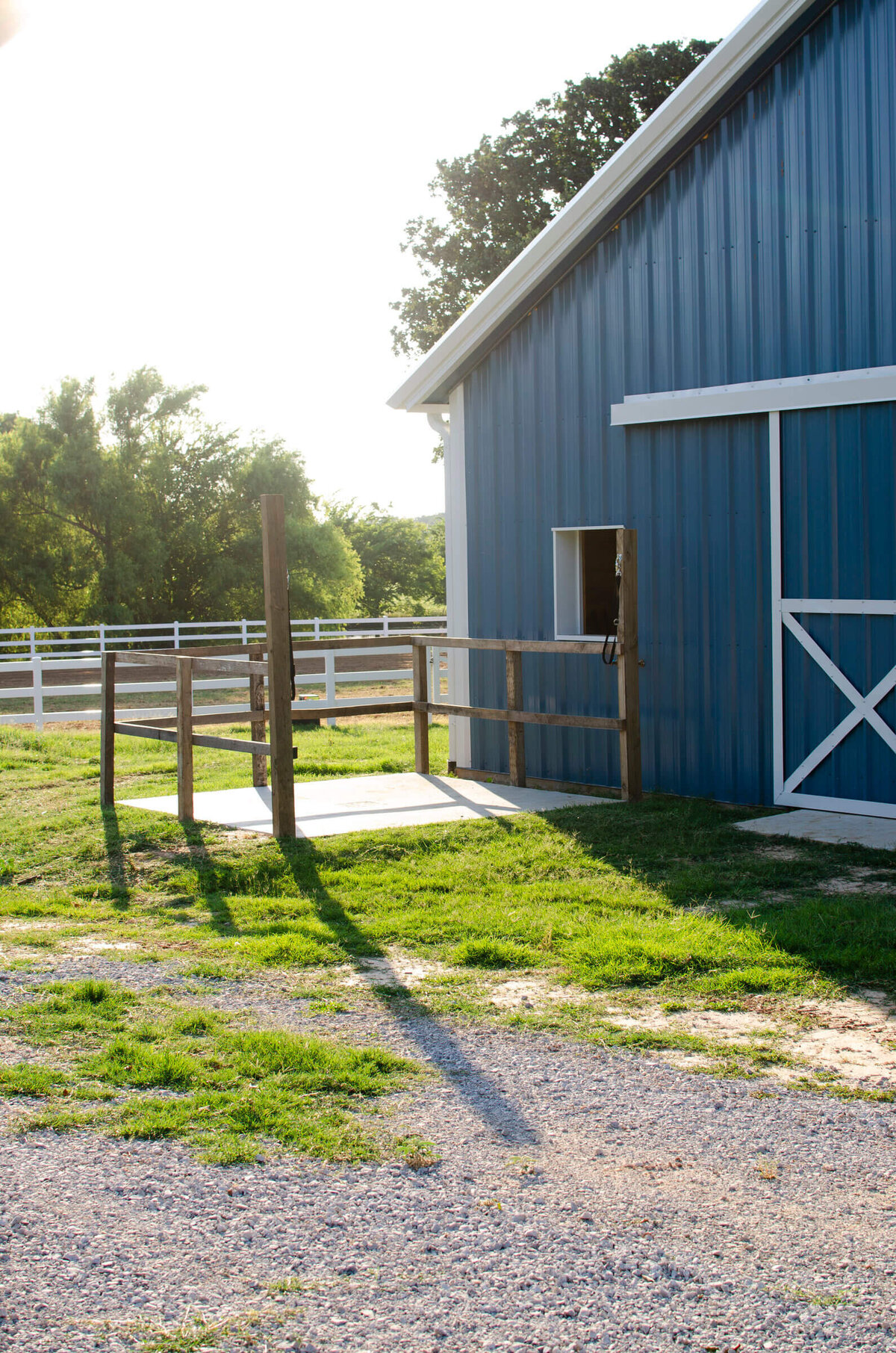 Full care horse boarding near Fort Worth