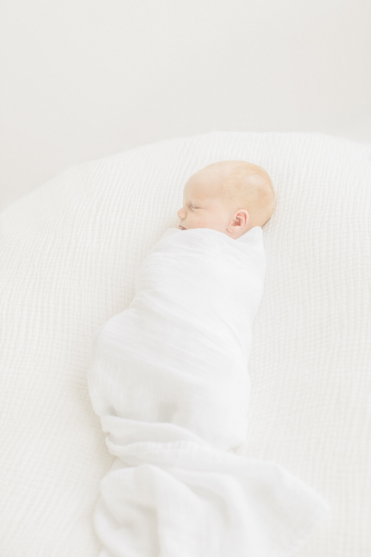 carmel newborn photographer