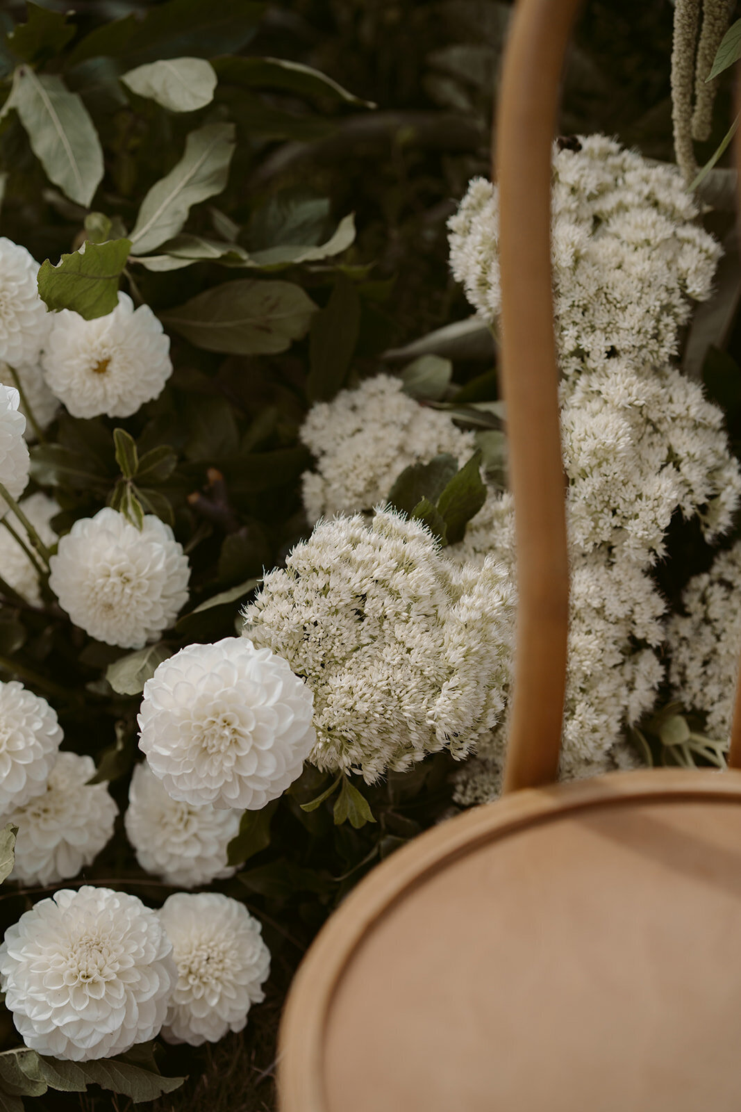 Kate Roberge Photography — Sara & Jon-157_websize