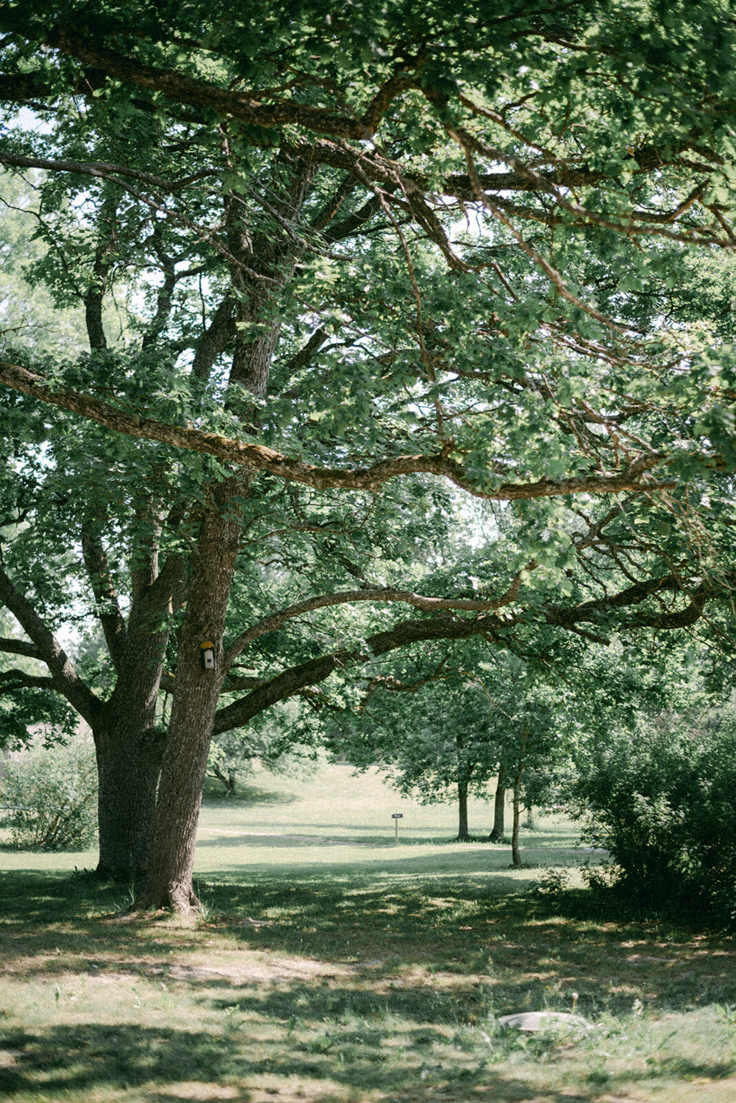 Sunny park in Oitbacka manor