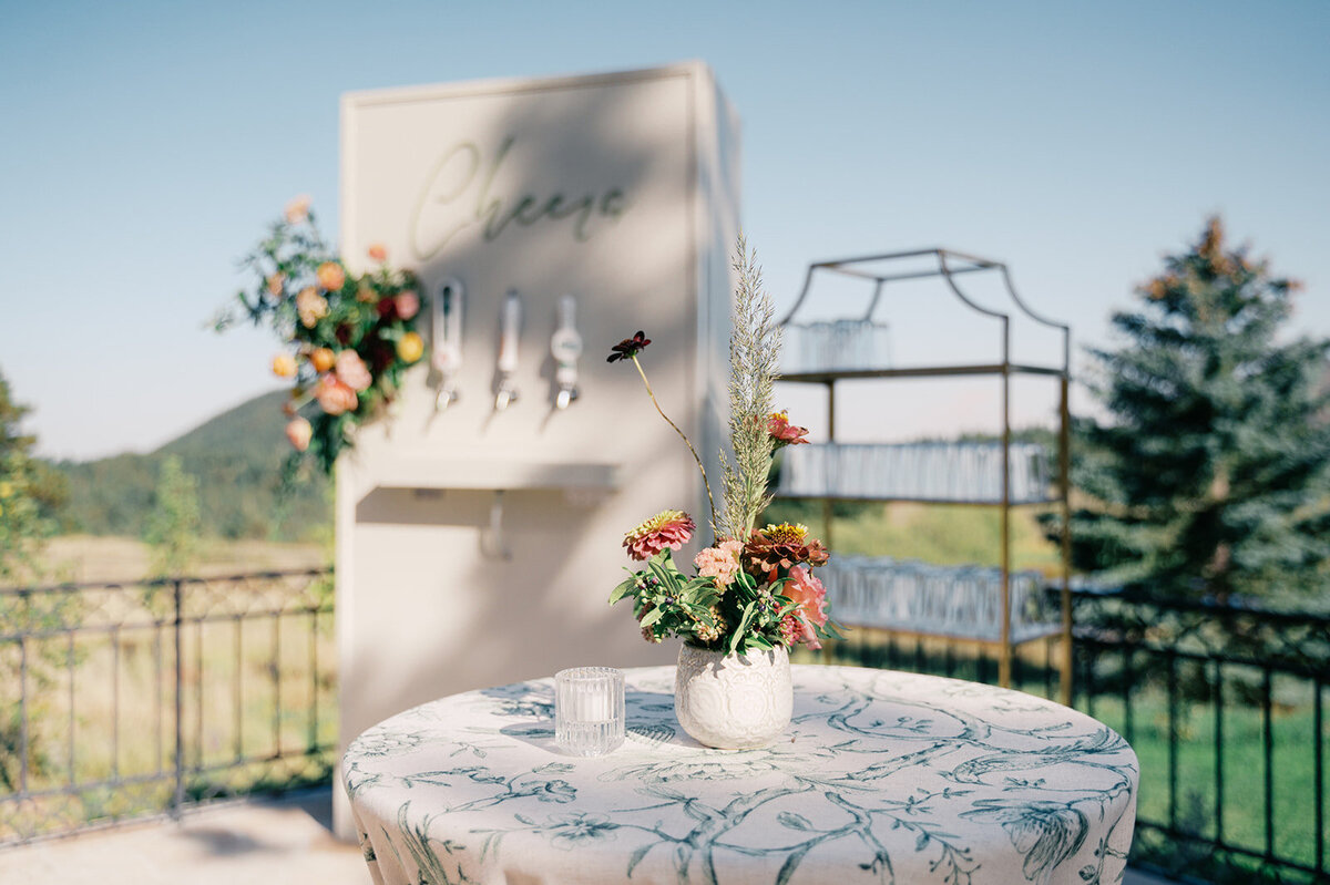 House of WIlde Rentals - Colorado - Vail13