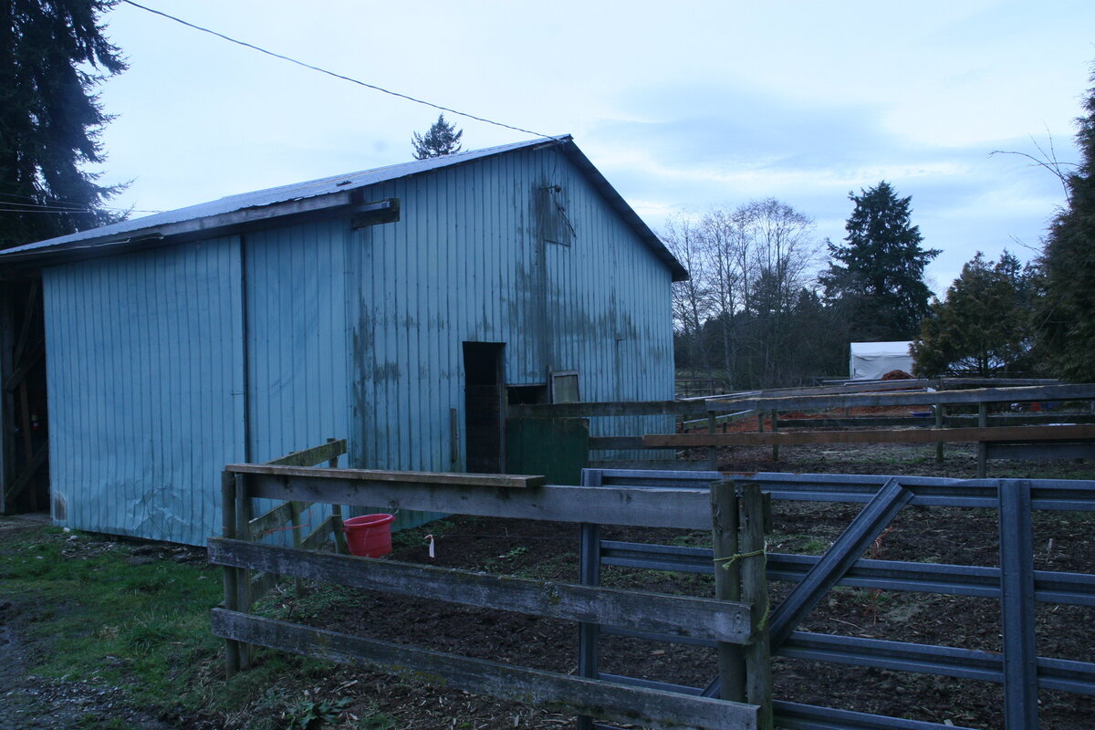 Brent Ray Fraser Future Shack Studio aka Farm Cattle Barn 2003