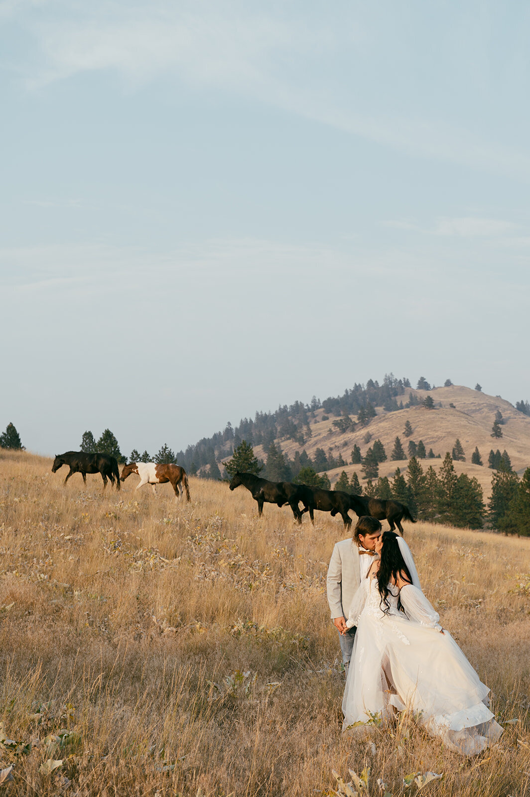 presley-gray-photo-wild-horse-montana-elopement-9737
