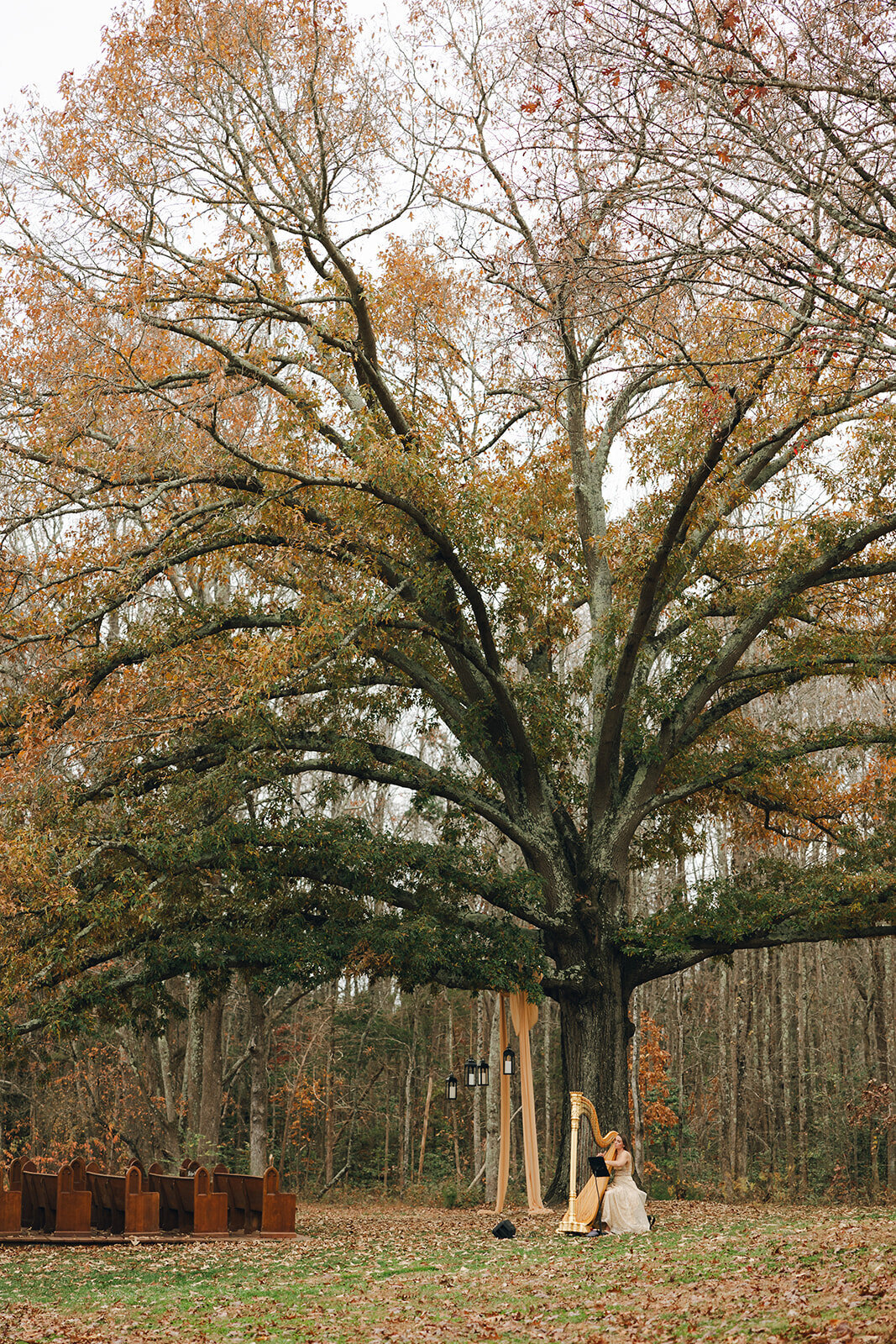 9R5A0240_websize