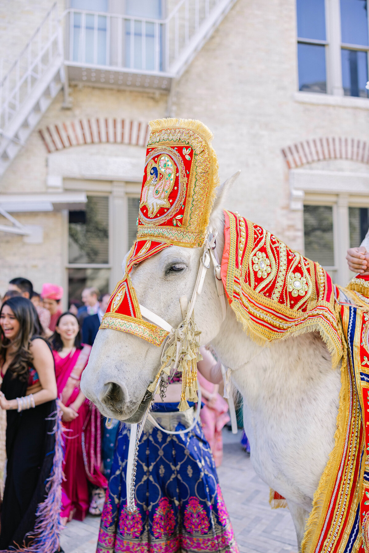 Helen_Saahil_Wedding_0874