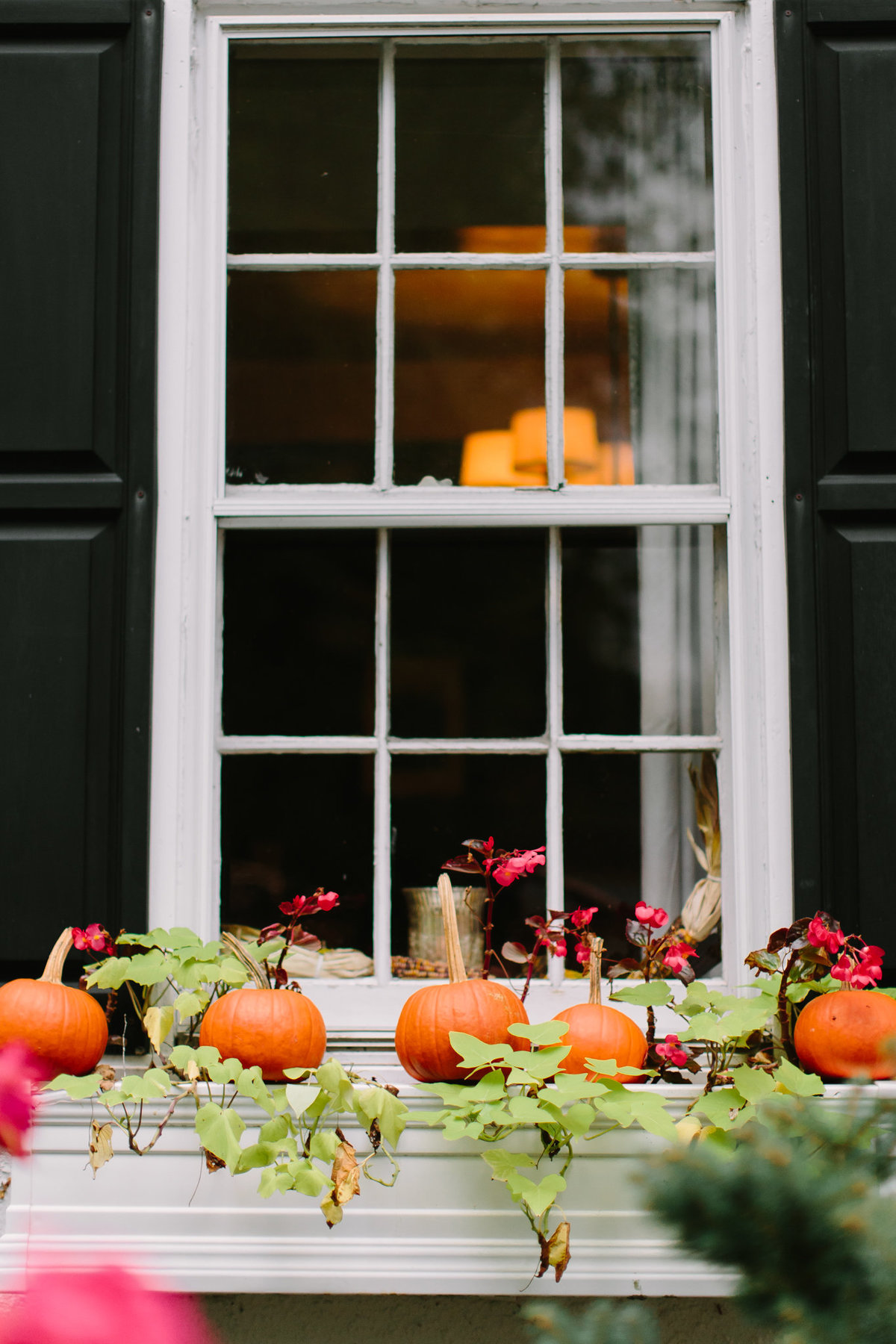 window decor with pumpkins