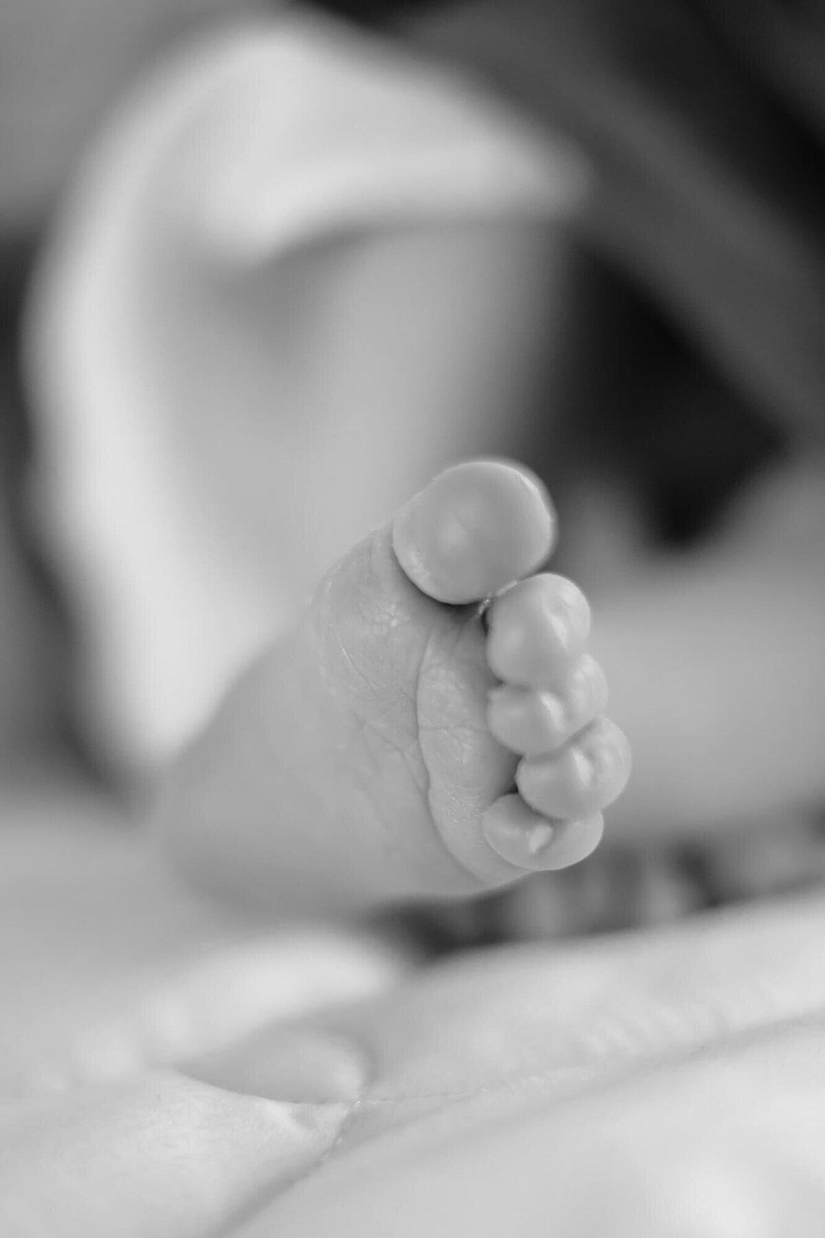 black and white photograph of newborn baby toes