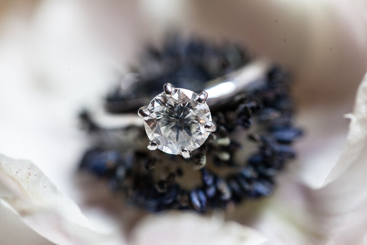 Rachel Kim photography_detail_ring_09