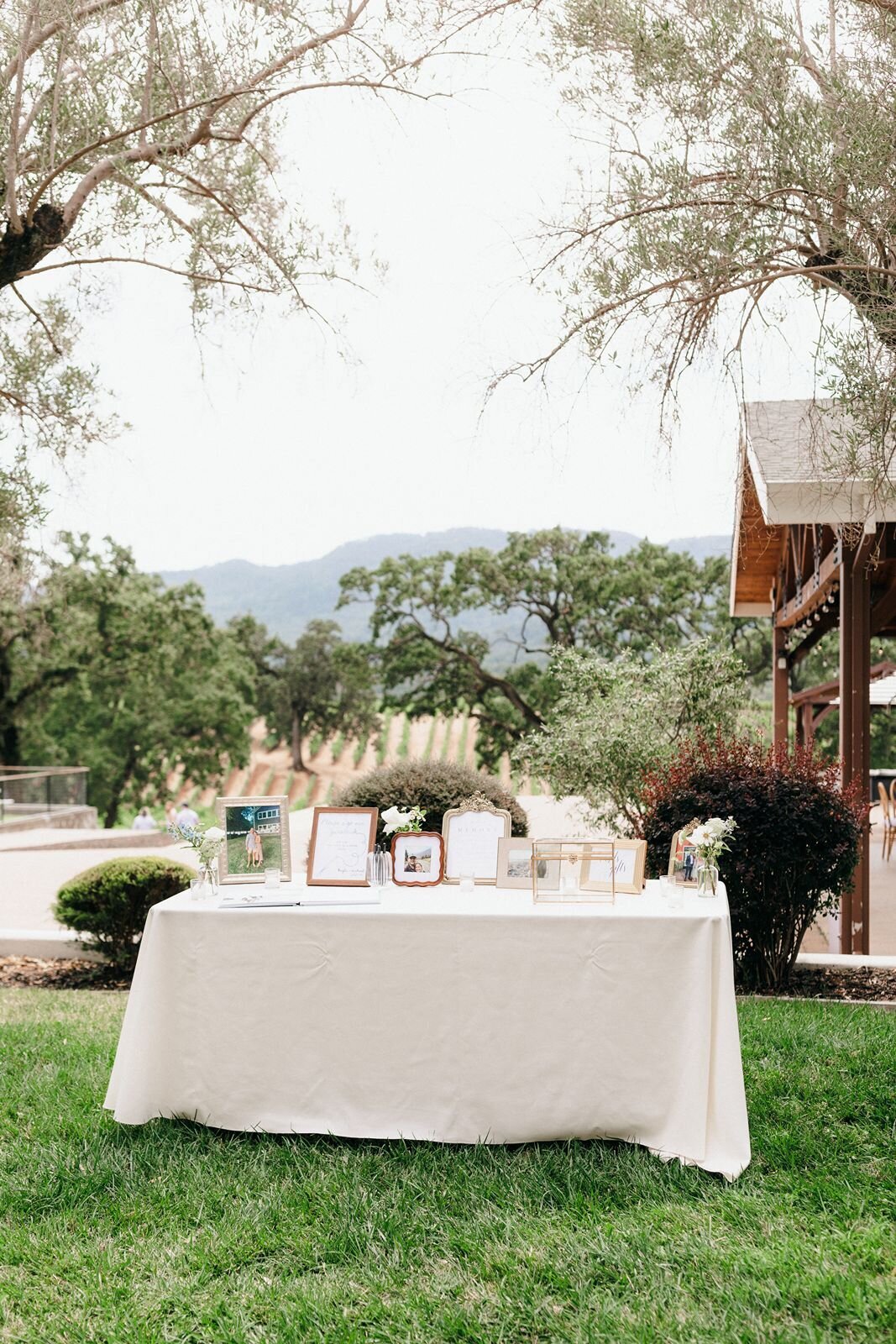 welcome-table-in-vineyards