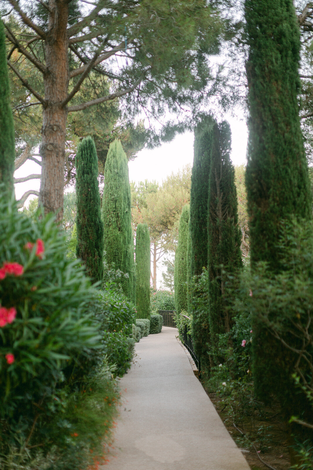 French Riviera Wedding Photographer  Cap Ferrat Wedding (164 sur 195)