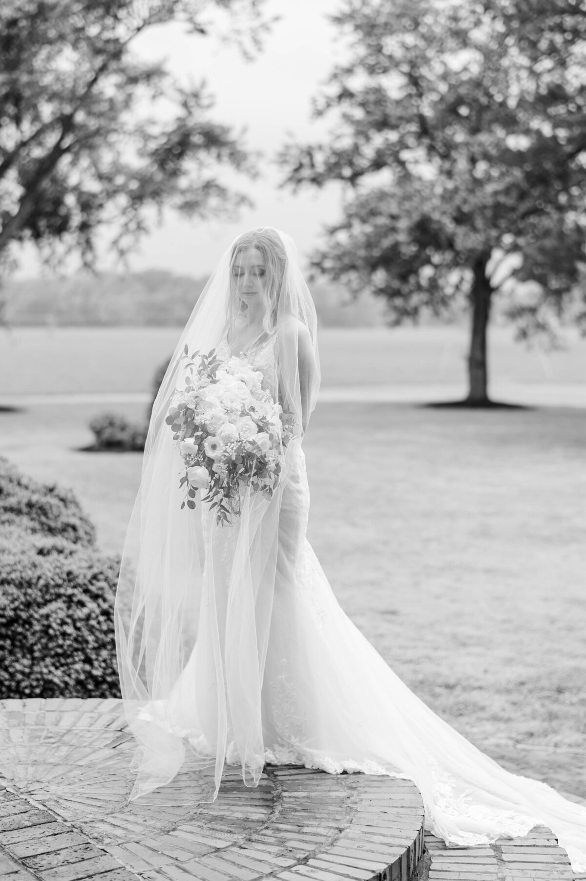 Bride and Groom Portraits-121