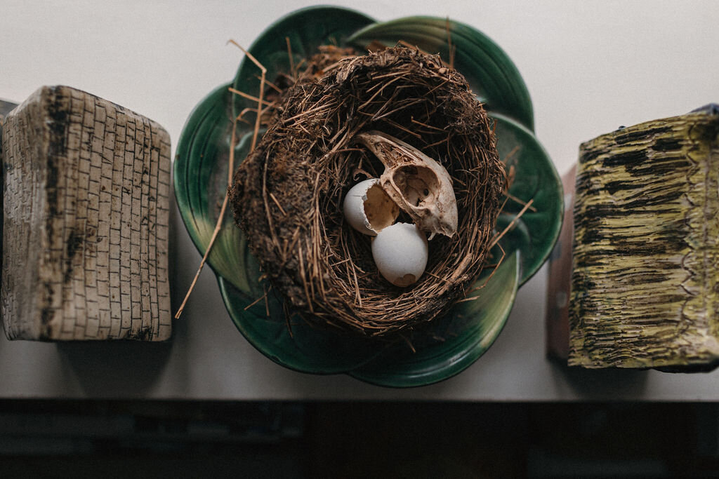 Curios at Artist Rachel Snowdon's house in Devon 