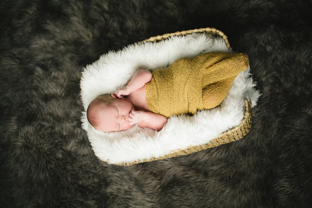 peterborough-newborn-photographer-16