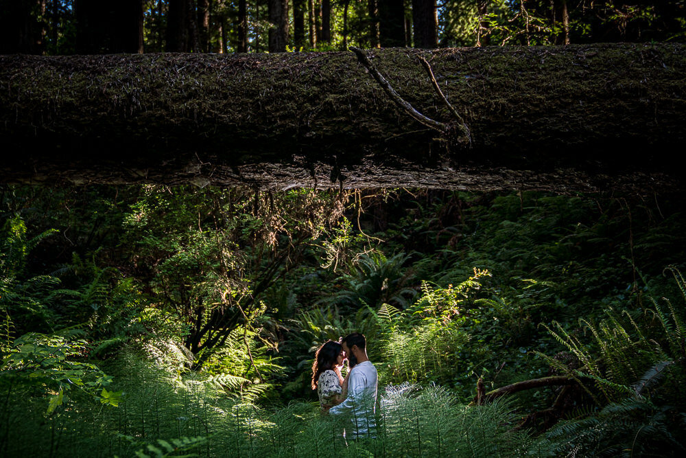 Best Locations for Couples Photography Humboldt