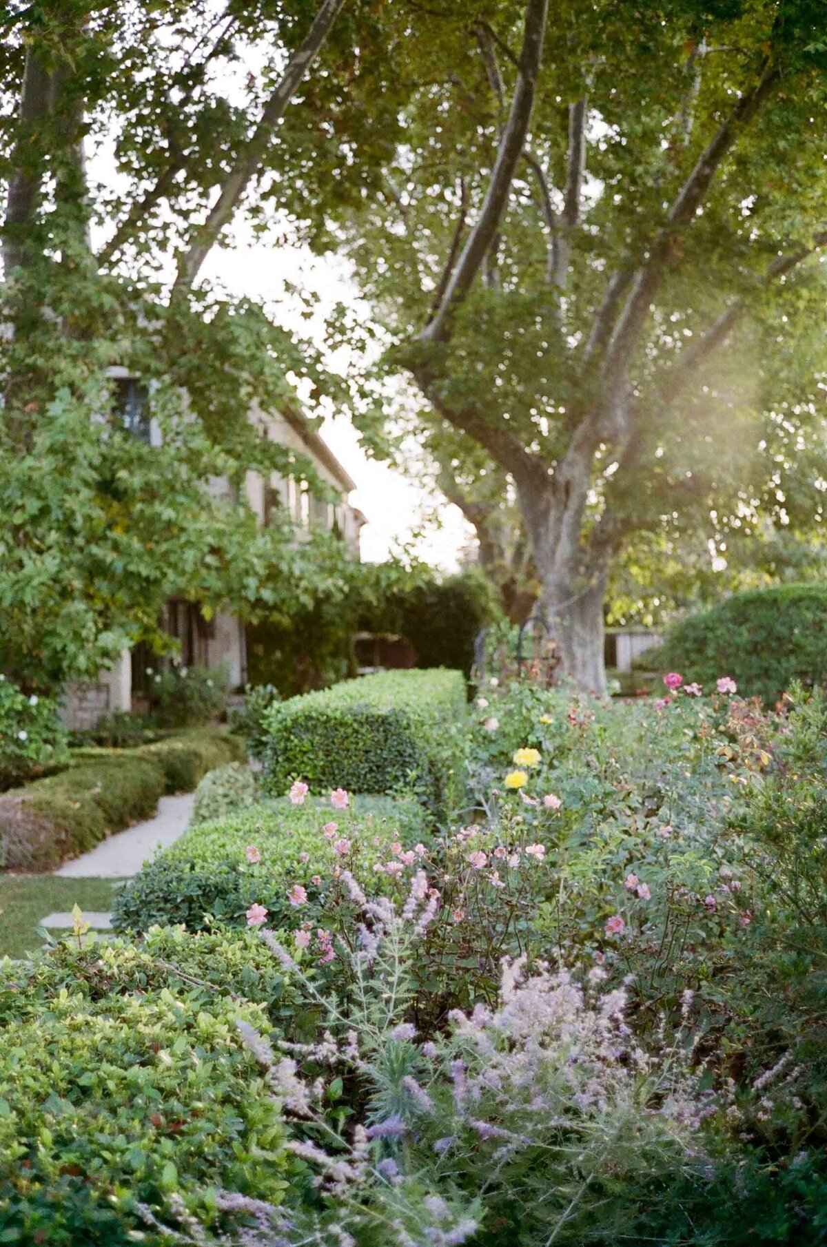 Provence-Film-Photographer-France-Destination-Wedding-Molly-Carr-Photography-4-scaled