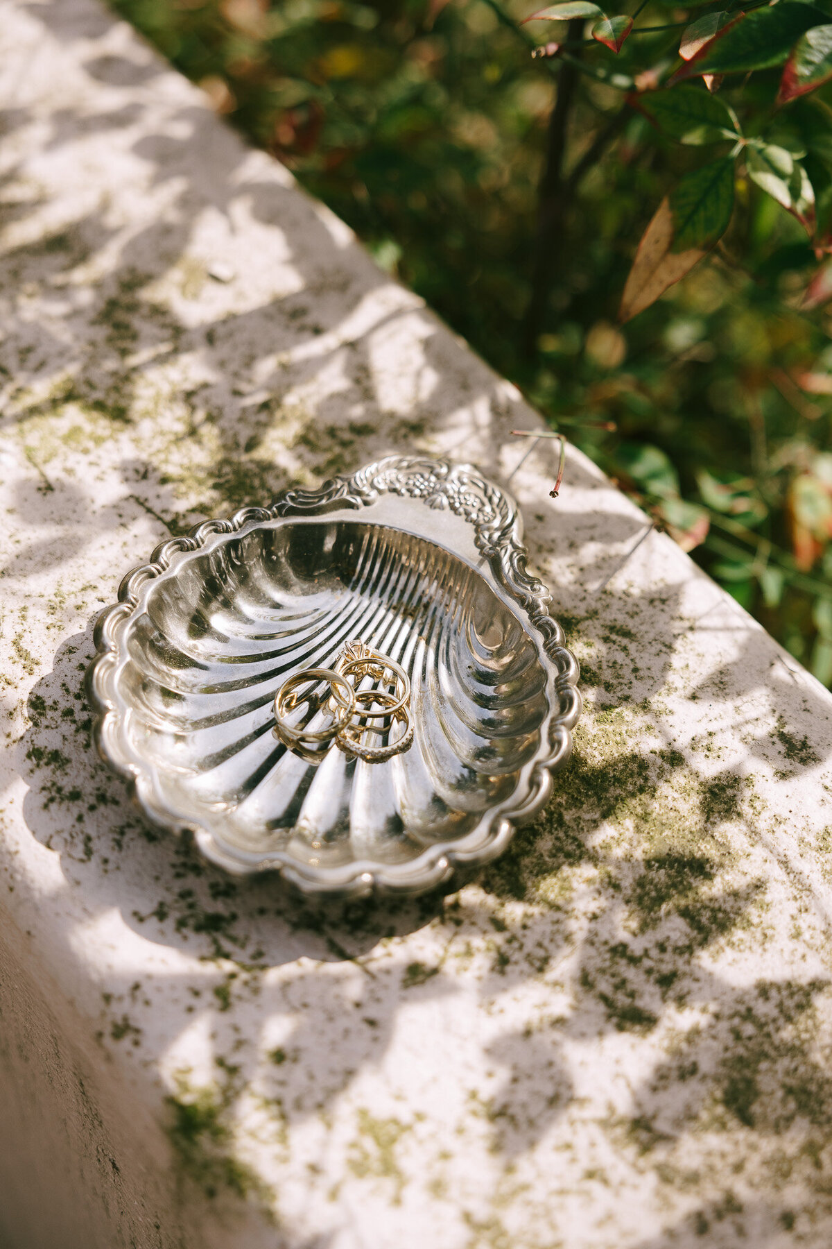 montecitoproposal-7005