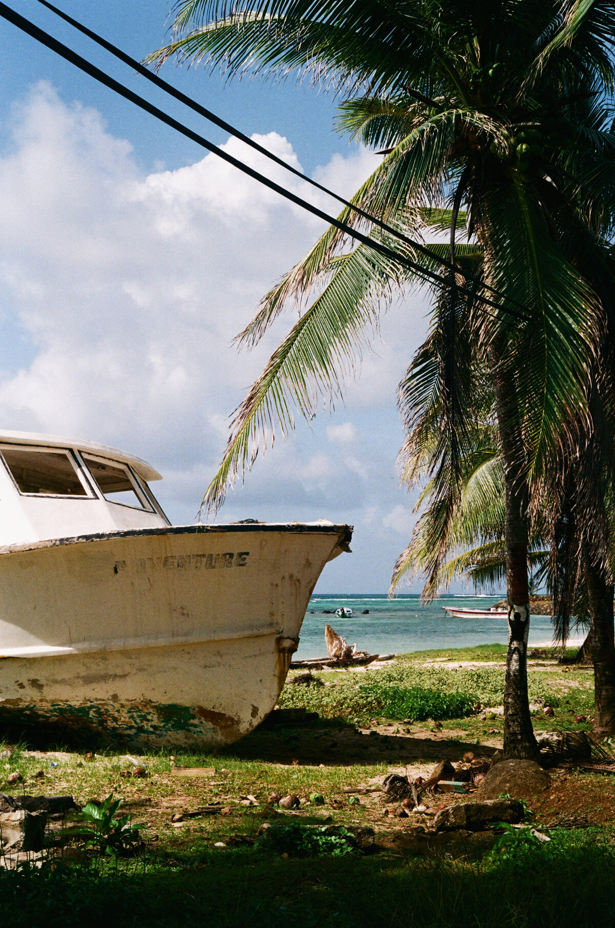bz_0013a